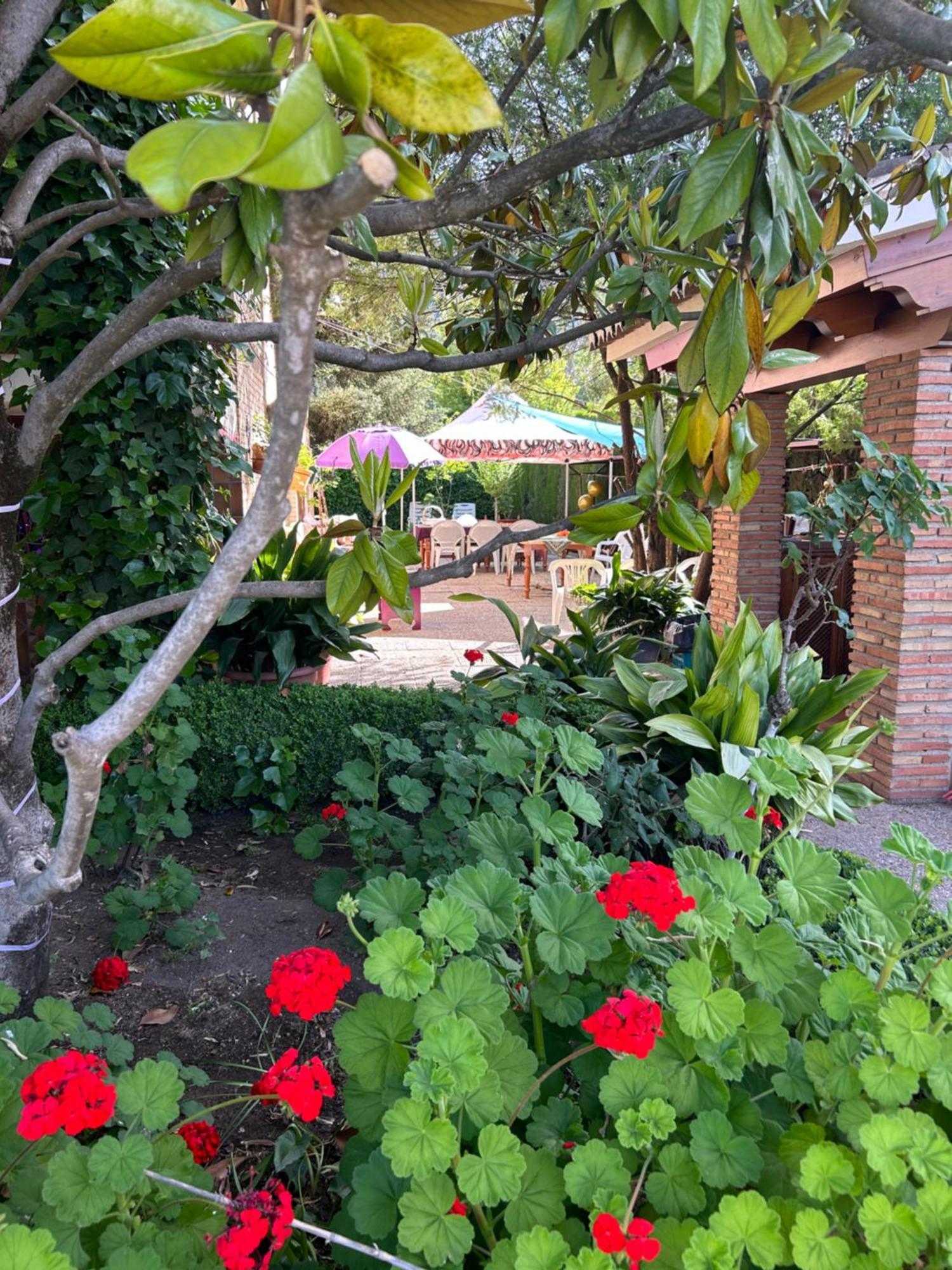Casa Los Rosales Alfacar Exteriör bild